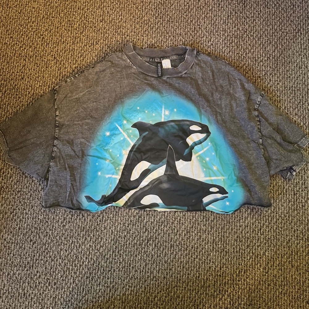 H&M Divided Gray Graphic Kids Oversized & Cropped T-Shirt (Orca print)